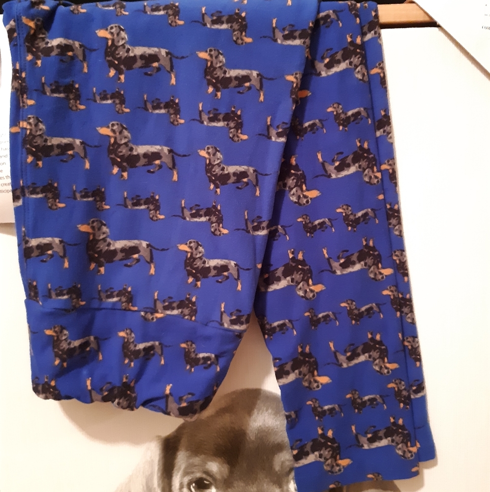 Like New LuLaRoe Unicorn Dachshund Print Leggings